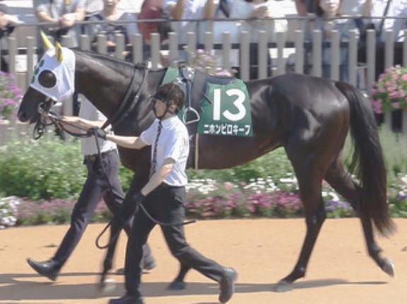 【小倉記念】単勝13番人気ニホンピロキーフの複勝に謎のぶち込みか