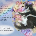 ペットセレモニーベル天国の天使達