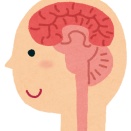 高カロリー食がもたらす認知機能低下のメカニズムを解明　東京科学大学と帝京大学