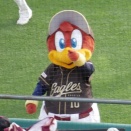 Eagles Games in Sendai Day2 #2