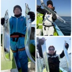 新安浦港・長谷川丸釣果