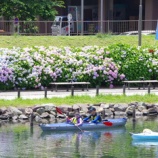 ��5��ϥ���å�����������٤β���