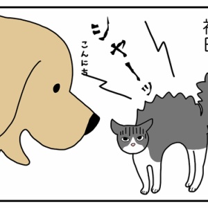 エフ漫画が本になりました リンマンブルース ゴールデンレトリバーの生態とマンガ Powered By ライブドアブログ