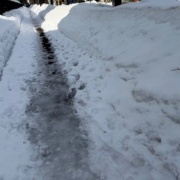 プレミストドーム（札幌ドーム）に行ってきました