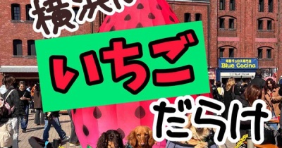 横浜うろうろ。赤レンガとかマリンウォークとか。