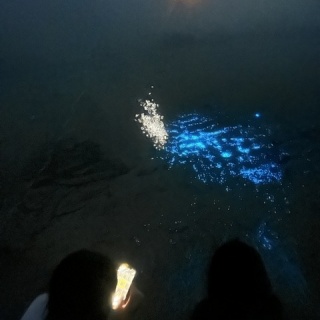 大崎海星高校「教育寮コンパス」