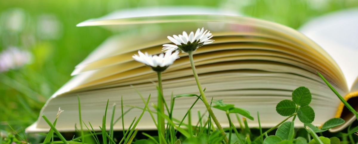 にびこの思うところ イメージ画像