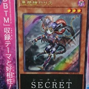 ラビュリンス　スターライト 遊戯王大会結果】第2回トレスタCS チーム戦 優勝は【M∀LICE