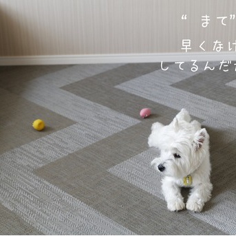 犬が滑らない床は、掃除が大変なのだ。やっと見つけた床掃除機