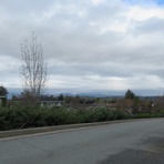 mattariponのぽんこつ日記