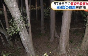89歳の母親が重度知的障害の息子(57)を殺害し逮捕→同情の声が殺到