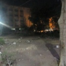 火曜日の朝のお散歩