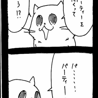 ドワーフキャットタオルちゃん51