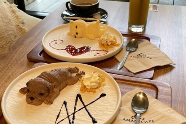 あっちこっちここページ Amazon.co.jp: あっち こっち ネッチ! : ぱんだにあ: 本