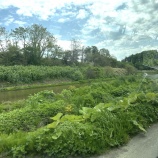 『受付のひとりごと☆北海道帰省』の画像