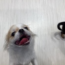 お友達紹介😉