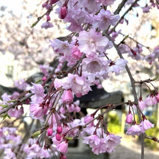 MUSIC MAKES US HAPPY!