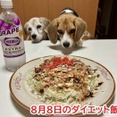 ダイエット飯特集