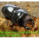 〇雅安D.カツラを最新画像に＼(^o^)／