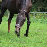 『秋晴れ』の画像