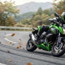 買うと決めてから半年近くたってようやく・・。