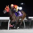【当たる！？レース予想】～2026.10.22(木) 14回門別6日目～ メインは第14回ブロッサムカップ〔H2〕！