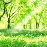 『自分の思いに正直になると見えてくるもの』の画像
