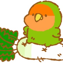 Inconfuoco インコンフォーコ 小鳥まみれのイラストblog フリー素材 コザクラインコ