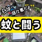 メルロコ一家の横須賀ストーリー