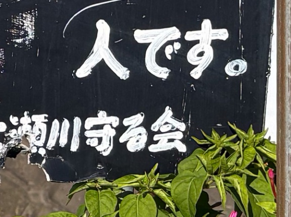 「人間宣言」【たかつーフォト】