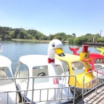 じゅんぺいぶろぐ