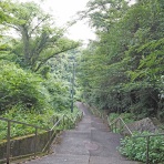 東京坂道さんぽ