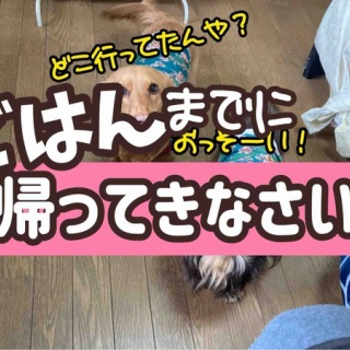 メルロコ一家の横須賀ストーリー