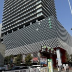 かわうそ、だもんで。