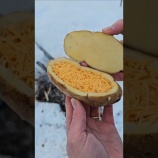 『ジャガイモと卵とチーズで作れるキャンプ飯がおいしそう』の画像