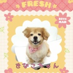 日々、ＪＡＭにあり