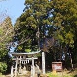 『【猿八】越敷神社、きれいになりました。』の画像