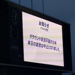 全国ツバメ軍団日誌！