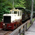 森林鉄道（観光用）