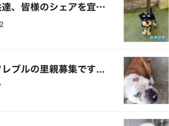 いよいよ、あと少しで　３０００万人💕💕😆