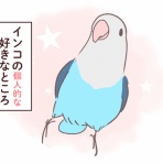 どんぶりとインコ暮らし