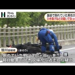 ウメボシ速報