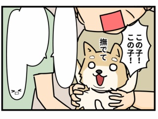 迷子のわんちゃんを追いかけて④（終）