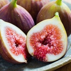 コンディショニングトレーナー小林さくらのブログ〜エッセンシャルトーク〜