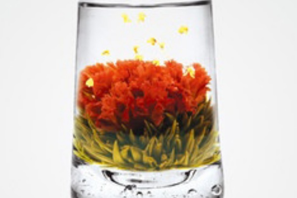 姫茶伝のブログ 中国茶 台湾茶 アジア全域のお茶 卸 小売販売