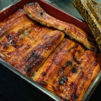 【警告】マッマ「妊娠中は”ウナギ”をよく食べてたわよ～」 ワイ「あっ･････！」⇒！