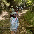 歩こう呉羽山！