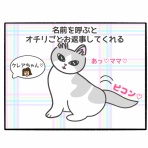 NEKOISM 〜ネコがたくさんいる暮らし〜