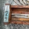本日の釣果