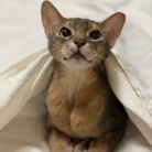 毎日、かわいいを見せつけてくるぼくちん♡